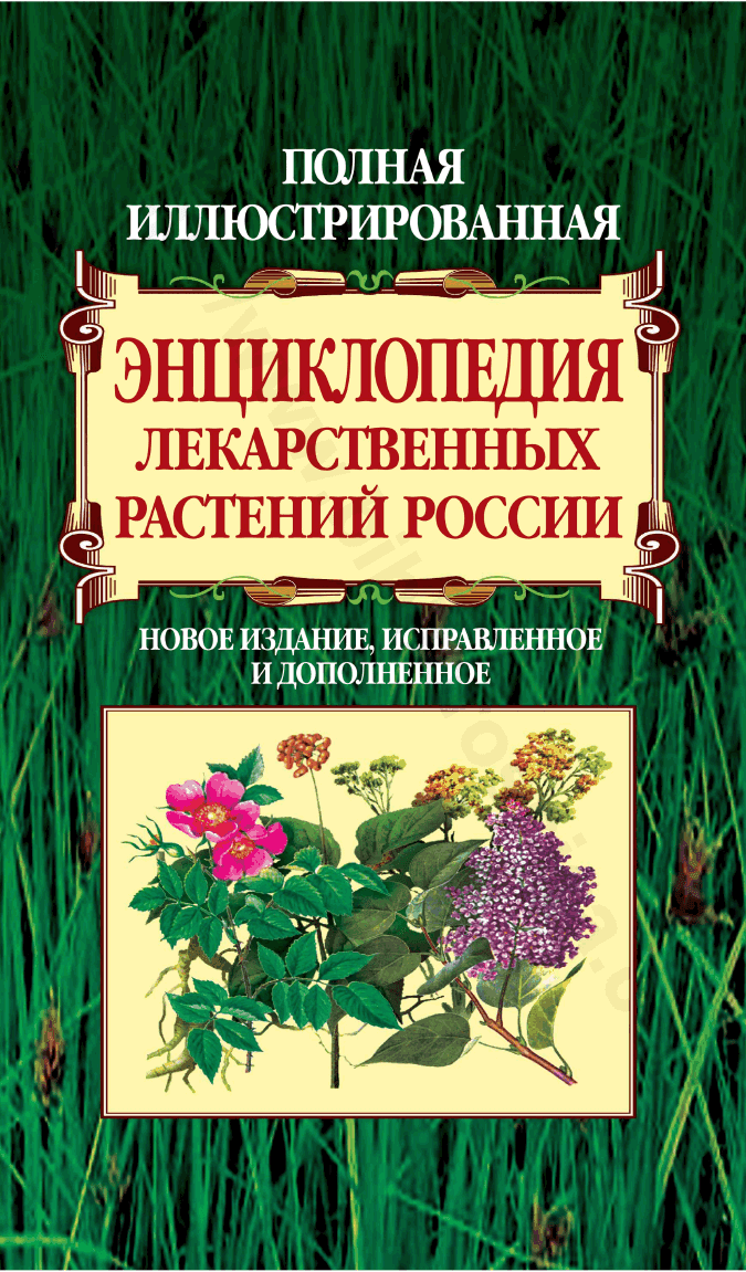 Полная иллюстрированная энциклопедия лекарственных растений России