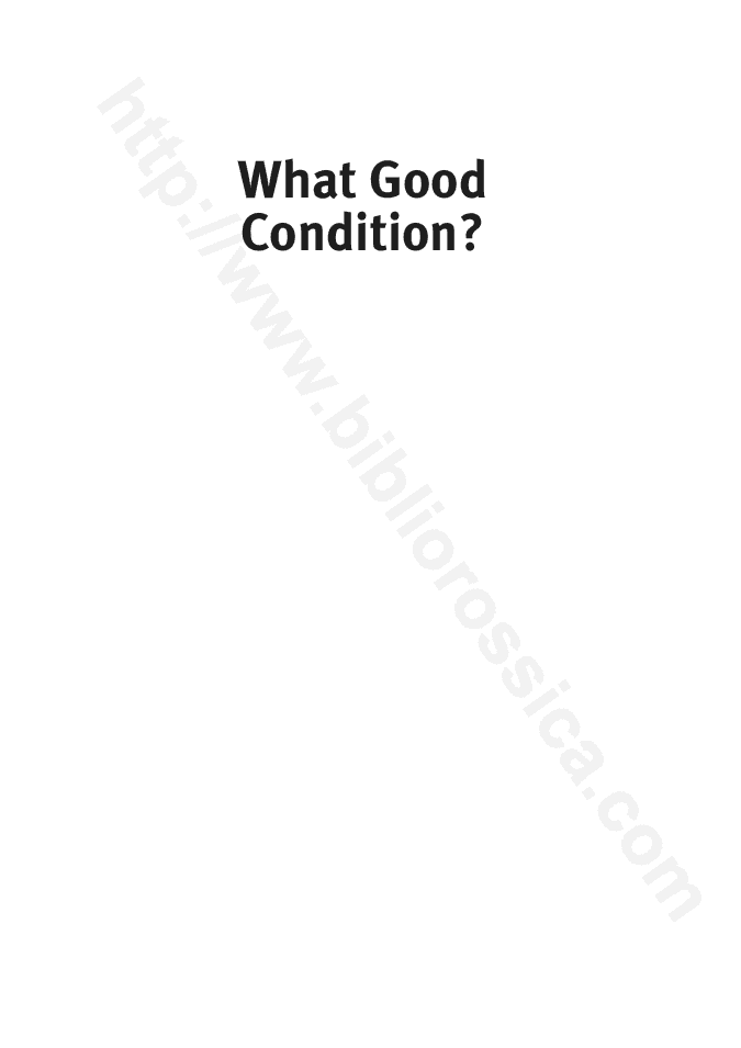 What Good Condition? : Reflections on an Australian Aboriginal Treaty 1986-2006