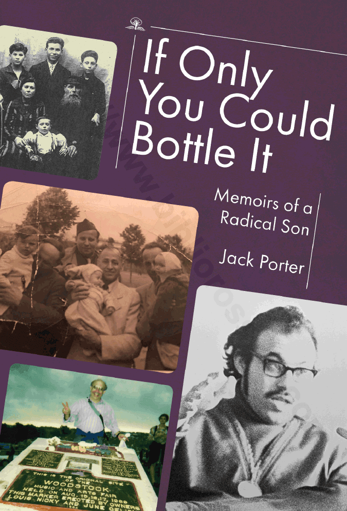 If Only You Could Bottle It. Memoirs of a Radical Son